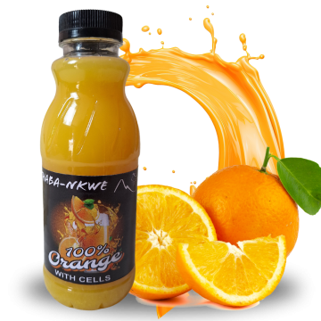 100% Mango Juice